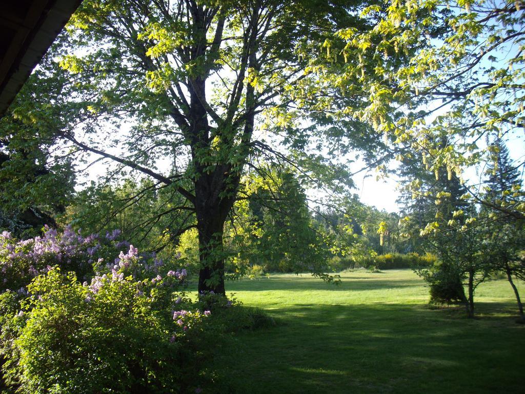 Lake Trail Guesthouse Cumberland Extérieur photo