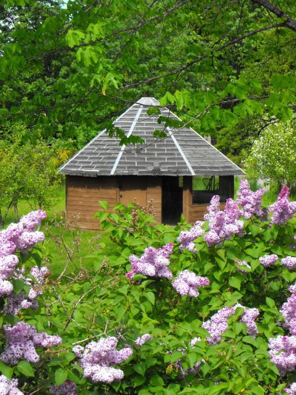 Lake Trail Guesthouse Cumberland Extérieur photo